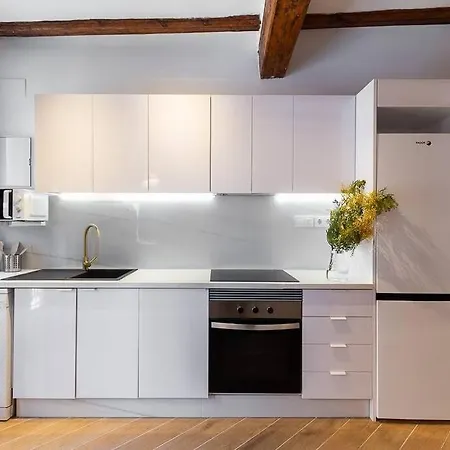 Beautiful Restored House With Terrace Apartment *